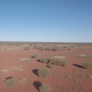 Image-crop2