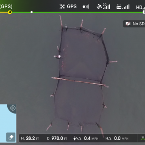 FishTrap3