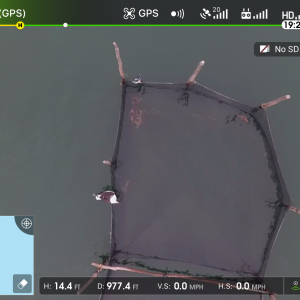 FishTrap4