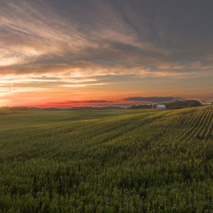 Sunset Near New Salisbury, Indiana
