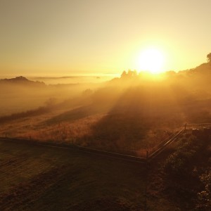 Sunrise in Co. Kilkenny