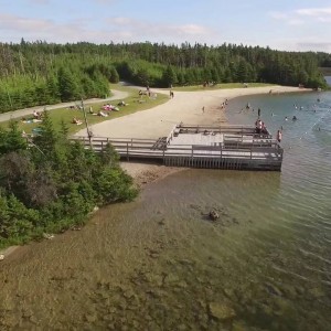 July 27th Buzz around Healys Pond - YouTube