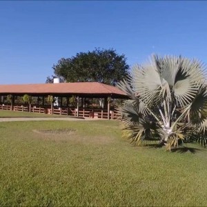 Fazenda Araras - Três Marias - MG - Brasil - YouTube