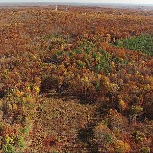 Aerial View of Cane Creek Mountain Fall Foilage