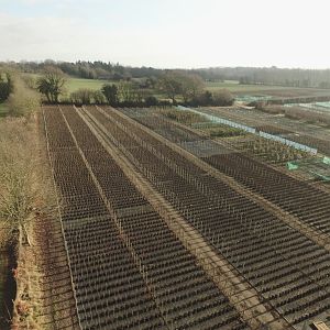 DJI_0078