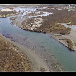 DJI Phantom 3 Drone Flight January 7, 2017 - YouTube