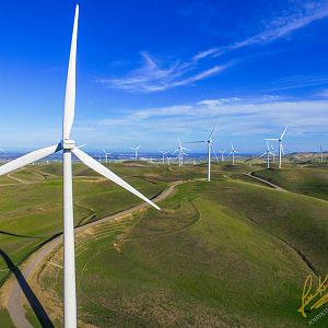 Altamont Pass Windfarm, on the eastern edge of the San Francisco Bay Area