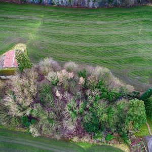 Small Wood & Field