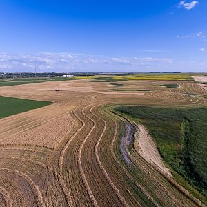 Harvest-0006