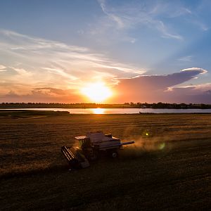 Harvest2016