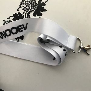 Lanyard