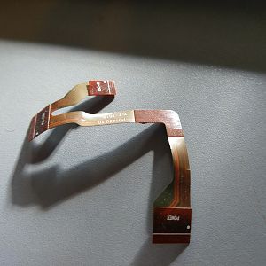 IMAG0273