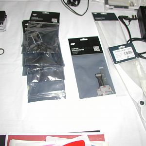 P1010067