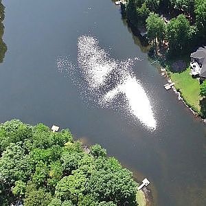 Midday's Flight at Overlook Lake - Hillsborough, NC