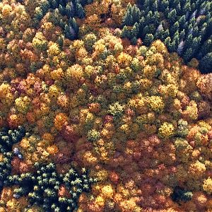 2017.10.14_Kýčerná-Salašová 5