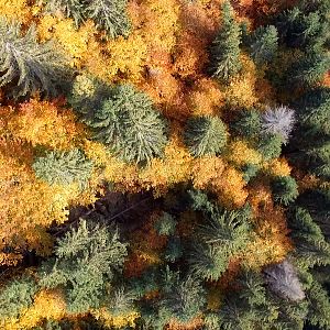 2017.10.14_Kýčerná-pred Drábove