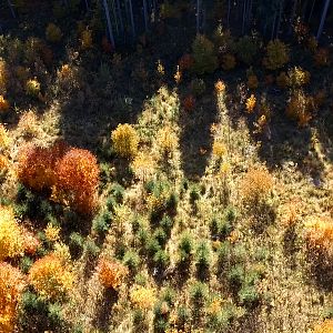 2017.10.15_Tlstý Javor 6