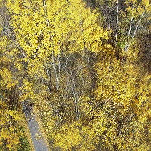 2017.10.20_Č.Balog - V Kopci 4