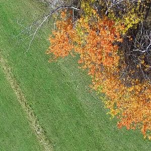 2017.10.20_Č.Balog - V Kopci 6