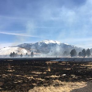 Wildfire-in-arizona-720x720